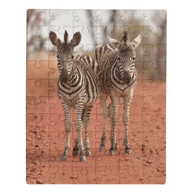 Cutest Baby Animals | Two Young Zebras Jigsaw Puzzle (Puzzle Vertical)