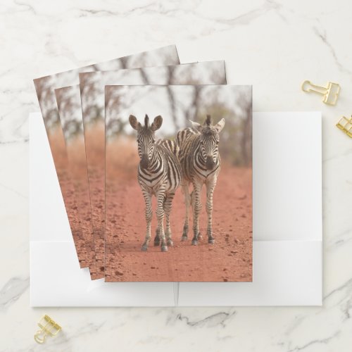 Cutest Baby Animals  Two Young Zebras Pocket Folder