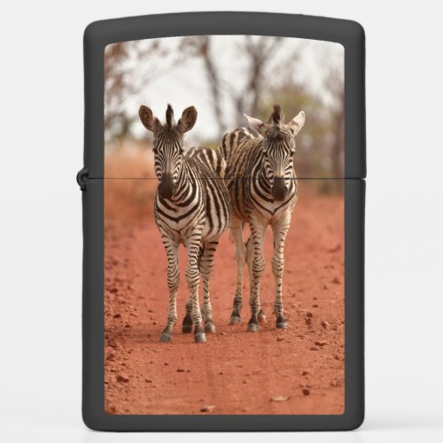 Cutest Baby Animals  Two Young Zebras Zippo Lighter