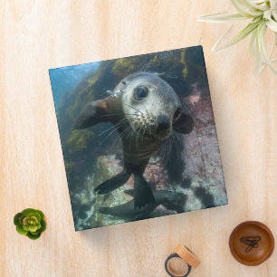 Cutest Baby Animals   Underwater Cape Fur Seal 3 Ring Binder