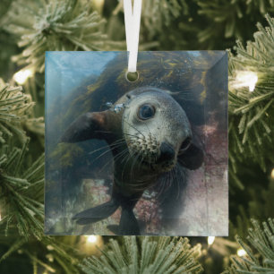 Cutest Baby Animals   Underwater Cape Fur Seal Glass Ornament