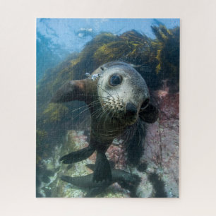 Cutest Baby Animals Underwater Cape Fur Seal Jigsaw Puzzle