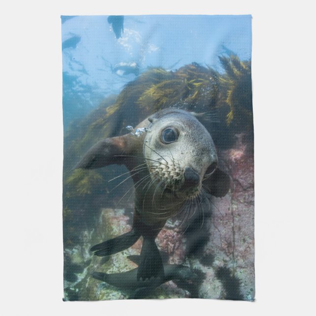 Cutest Baby Animals | Underwater Cape Fur Seal Kitchen Towel (Vertical)
