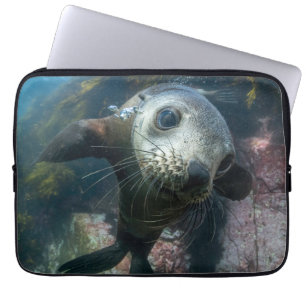 Cutest Baby Animals Underwater Cape Fur Seal Laptop Sleeve