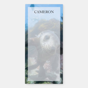 Cutest Baby Animals Underwater Cape Fur Seal Magnetic Notepad