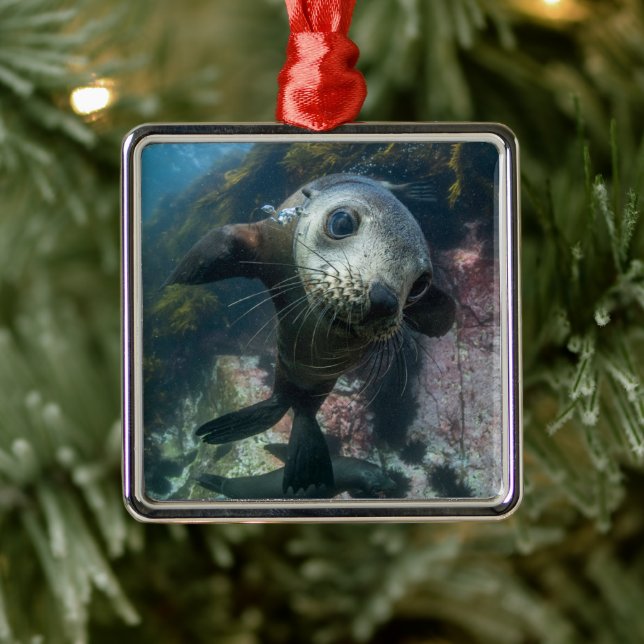 Cutest Baby Animals | Underwater Cape Fur Seal Metal Ornament (Tree)
