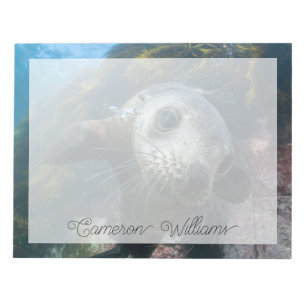 Cutest Baby Animals Underwater Cape Fur Seal Notepad