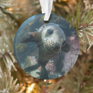 Cutest Baby Animals Underwater Cape Fur Seal Ornament