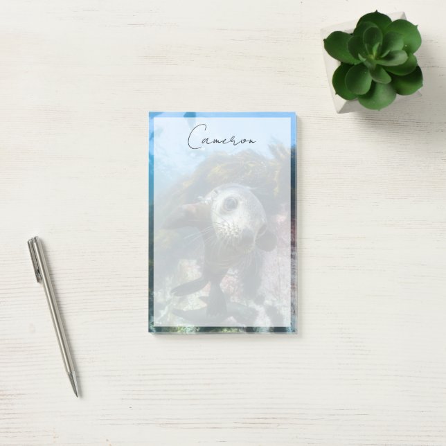 Cutest Baby Animals | Underwater Cape Fur Seal Post-it Notes (Office)