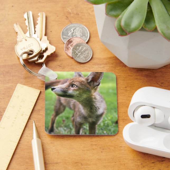 Cutest Baby Animals | Urban Fox Keychain (Desk)