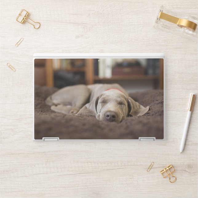 Cutest Baby Animals | Weimaraner Puppy Sleeping HP Laptop Skin (Desk)