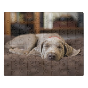Cutest Baby Animals Weimaraner Puppy Sleeping Jigsaw Puzzle