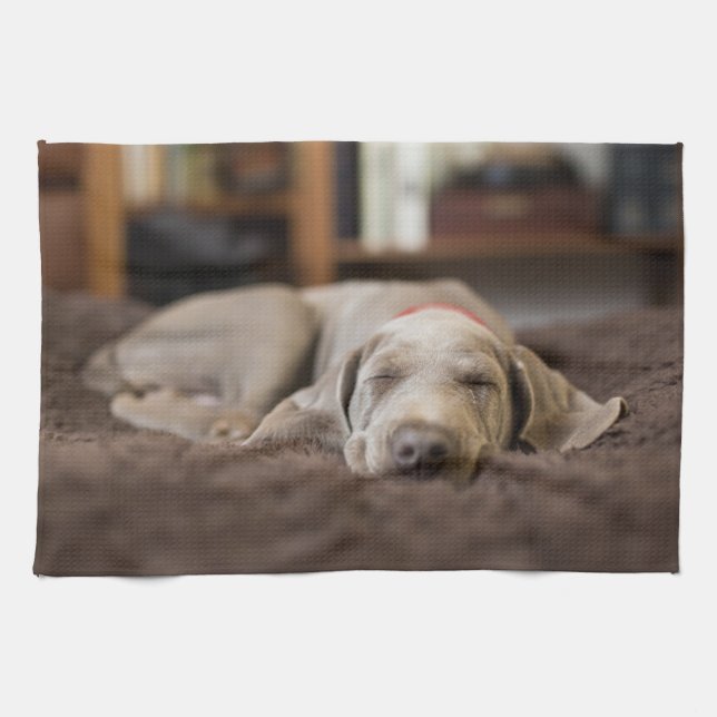 Cutest Baby Animals | Weimaraner Puppy Sleeping Kitchen Towel (Horizontal)