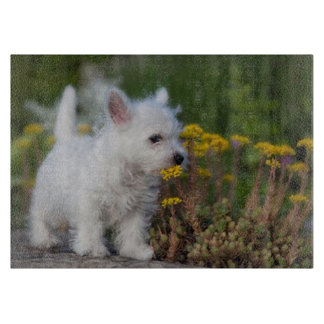 Cutest Baby Animals | West Highland White Terrier Cutting Board (Front)