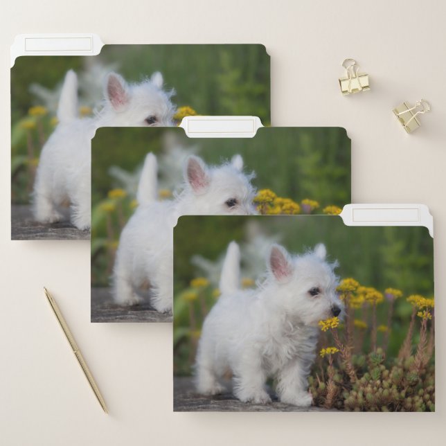 Cutest Baby Animals | West Highland White Terrier File Folder (Set)