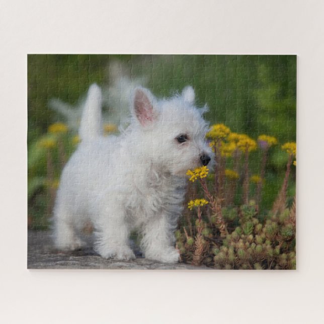 Cutest Baby Animals | West Highland White Terrier Jigsaw Puzzle (Horizontal)