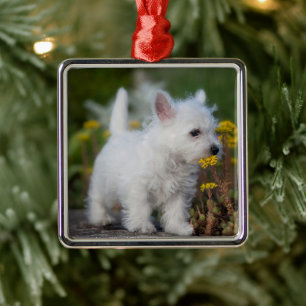 Cutest Baby Animals West Highland White Terrier Metal Ornament