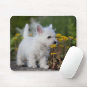 Cutest Baby Animals West Highland White Terrier Mouse Pad