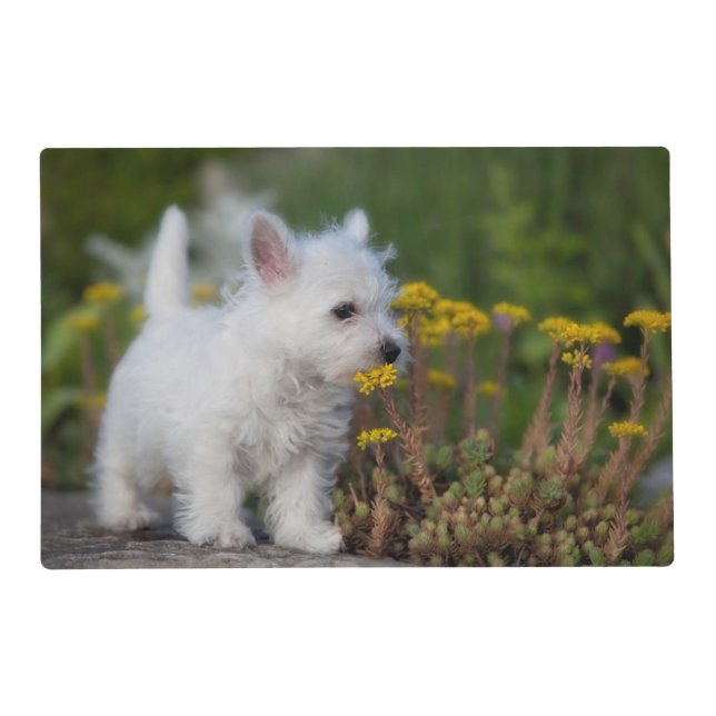 Cutest Baby Animals | West Highland White Terrier Placemat (Front)