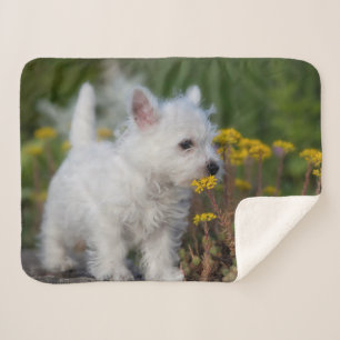 Cutest Baby Animals West Highland White Terrier Sherpa Blanket