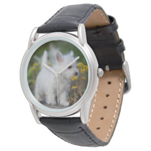 Cutest Baby Animals West Highland White Terrier Watch