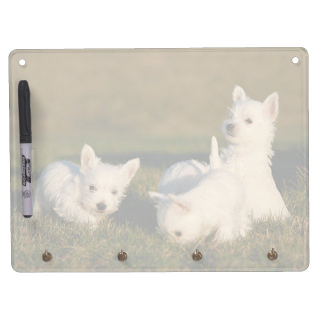 Cutest Baby Animals | West Highland White Terriers Dry Erase Board With Keychain Holder (Front)