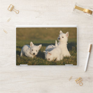 Cutest Baby Animals West Highland White Terriers HP Laptop Skin