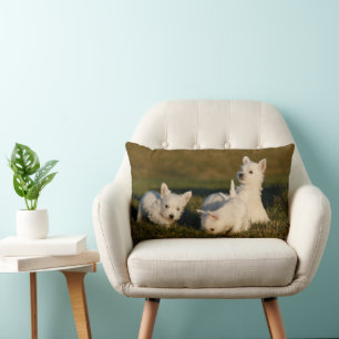Cutest Baby Animals West Highland White Terriers Lumbar Pillow