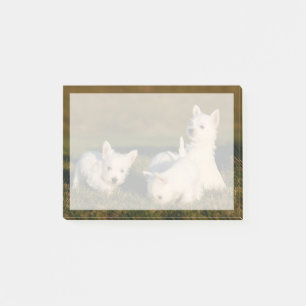Cutest Baby Animals West Highland White Terriers Post-it Notes