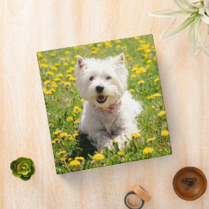Cutest Baby Animals Westie Dog in Dandelions 3 Ring Binder