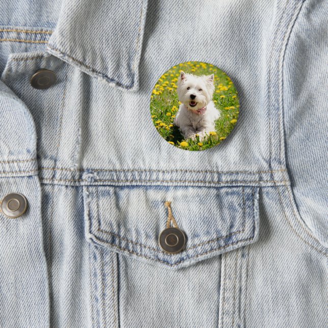 Cutest Baby Animals | Westie Dog in Dandelions Button (In Situ)