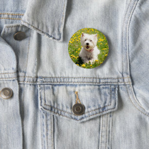 Cutest Baby Animals Westie Dog in Dandelions Button