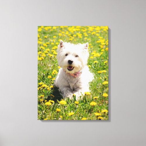 Cutest Baby Animals  Westie Dog in Dandelions Canvas Print