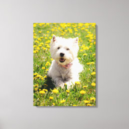 Cutest Baby Animals | Westie Dog in Dandelions Canvas Print