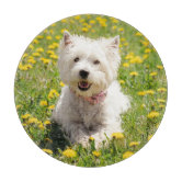 https://rlv.zcache.com/cutest_baby_animals_westie_dog_in_dandelions_cutting_board-r1bb0205b59d3435bb92b7c4cba20c823_i98lk_8byvr_166.jpg