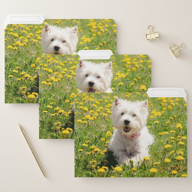 Cutest Baby Animals | Westie Dog in Dandelions File Folder (Set)