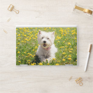 Cutest Baby Animals Westie Dog in Dandelions HP Laptop Skin