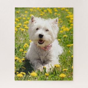 Cutest Baby Animals   Westie Dog in Dandelions Jigsaw Puzzle