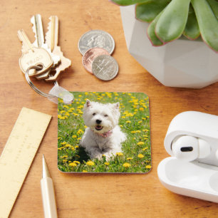 Cutest Baby Animals   Westie Dog in Dandelions Keychain