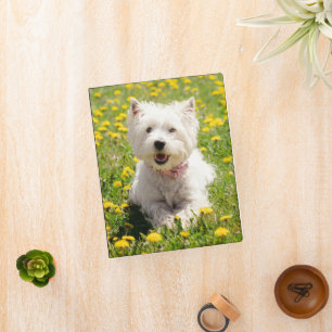Cutest Baby Animals Westie Dog in Dandelions Mini Binder