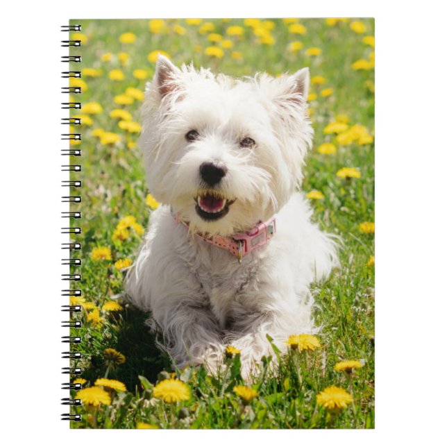 Cutest Baby Animals | Westie Dog in Dandelions Notebook (Front)