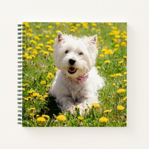 Cutest Baby Animals  Westie Dog in Dandelions Notebook