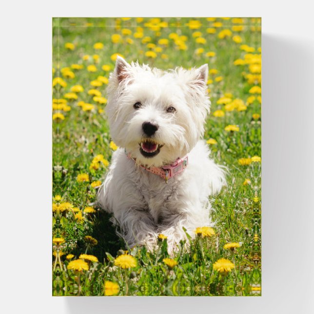 Cutest Baby Animals | Westie Dog in Dandelions Paperweight (Vertical)