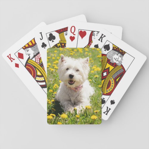 Cutest Baby Animals  Westie Dog in Dandelions Playing Cards