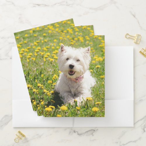 Cutest Baby Animals | Westie Dog in Dandelions Pocket Folder Cutest Baby Animals | Westie Dog in Dandelions Pocket Folder