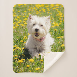 Cutest Baby Animals Westie Dog in Dandelions Sherpa Blanket