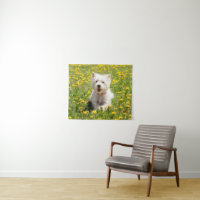 Cutest Baby Animals | Westie Dog in Dandelions