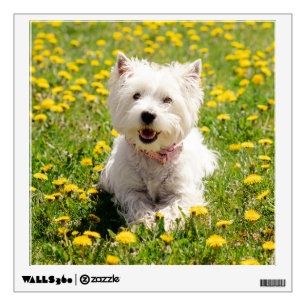Cutest Baby Animals   Westie Dog in Dandelions Wall Decal