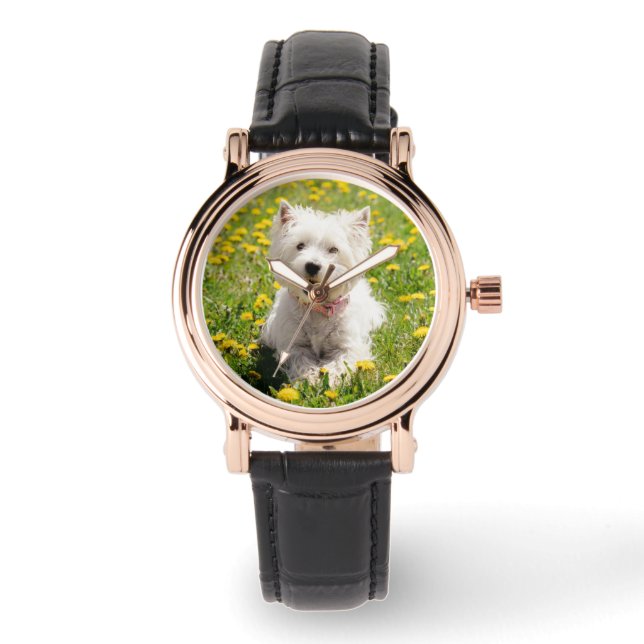 Cutest Baby Animals | Westie Dog in Dandelions Watch (Front)