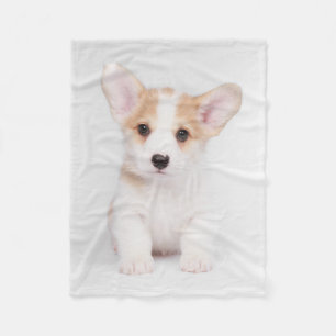 Cutest Baby Animals White Corgi Puppy Fleece Blanket